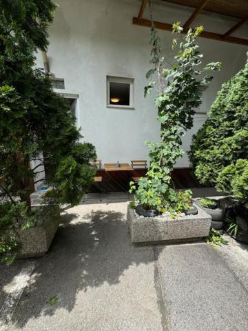 Апартаменти Cozy Flat Near Tivoli Park With Free Parking Любляна Екстер'єр фото
